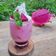 Cooksnap dari Syafa Syifa untuk resep Foamy Dragon Fruit Milk with Homemade Syrup