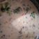 Cooksnap dari Desi Aristya untuk resep Chicken Mushroom Cream Soup