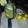 aixah's Cuisine's cooksnap of when they made Infused water.