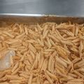 bartoncollege1996's cooksnap of when they made Tomato 🍅 Soup Pasta.