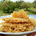 Cooksnap dari Adelianda Auliani untuk resep Kremesan renyah bersarang untuk ayam goreng/ gorengan tempe