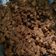Cooksnap dari uni_uniong untuk resep Daging Krawu