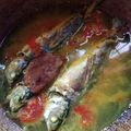 Cooksnap dari Prima Syahnur Aini untuk resep Ikan tongkol rebus sederhana