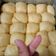 Cooksnap dari Veyrga Sudarma untuk resep Roti Sobek empuk Serat Panjang