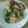 รูป Cooksnap ของ Plaa Lee เมื่อเขาทำ ข้าวผัดปลาสลิด ใบโหระพา (ไม่ใส่ไข่)