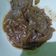 Cooksnap dari Nur Aminah untuk resep Semur Daging Empuk Resep Ibukku