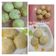Cooksnap dari priska jacob untuk resep Pao simple 3 bahan kenyal yummy