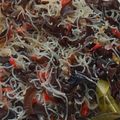 Cooksnap dari S.G.Hidayat untuk resep Oseng Jamur