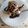 Cooksnap από Christa Christofi στη συνταγή Απολαυστική ζεστή μηλόπιτα σερβιρισμένη με παγωτό