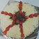 Cooksnap dari Ve untuk resep Brownies Kukus Ny.Liem