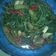 Cooksnap dari Neneng Saman untuk resep Tumis Kangkung Saus Tiram