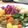 misato's cooksnap of when they made Colorful veges.