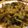 Rowena Tsang 的 炒酸菜 cooksnap