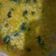 Cooksnap dari daini pariyani untuk resep Bubur Menado / bubur sayur