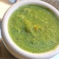 thakkarmansi's cooksnap of when they made સેન્ડવીચ ની ગ્રીન ચટણી (Sandwich Green Chutney Recipe In Gujarati).