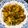 Zobia Sajjad's cooksnap of when they made Aloo gobhi.
