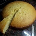 El cooksnap de Aide Gomez cuando hizo Torta de limón fácil.