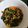 Cooksnap dari Inahh Sakinahh Part III untuk resep Tumis sajawo (sawi, jagung, wortel)