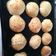 El cooksnap de Luciana Pazo cuando hizo Pan de hamburguesas rápidas con levadura.
