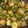 Alena's cooksnap of when they made Potato Salad with Mustard & Herbs.