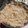 El cooksnap de Adriana Talavera cuando hizo Masa para tarta o empanadas integral con semillas.