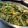 ChefGoulding@EdmundsWSC's cooksnap of when they made Chargrilled summer vegetable risotto with lemon and herb chicken.