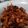 Cooksnap dari mega kumala untuk resep Ayam Hintalu Masak Habang