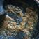 Cooksnap dari Efrinna Vita Sasmiari untuk resep Sambal trasi