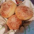 El cooksnap de Esteban Morris Donoso Sandoval cuando hizo Pan de hamburguesa.