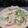 阿文 的 雞絲蒜香高麗菜 cooksnap