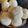 Mahua Dhol's cooksnap of when they made প্রাণহারা মিস্টি (pranhora mishti recipe in bengali).