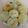 Madhuchhanda Guha's cooksnap of when they made করাইশুঁটির কচুরি (Koraisuntir Kochuri recipe in Bengali).