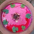 Niharika Mishra का कुकस्नैप जब उन्होंने गुलाब बादाम फिरनी (gulab badam phirni reicpe in Hindi) बनाया था।