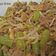 Cooksnap dari Aditya Shine (AShine) untuk resep Tumis buncis daging cincang