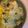 mimi療癒廚房 的 白花蔥雞湯 cooksnap