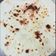 Lovely gupta का कुकस्नैप जब उन्होंने नान (Naan recipe in hindi) बनाया था।