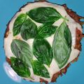 El cooksnap de ANDREA PIZZORNO cuando hizo Pizza DUKAN 0% carbohidratos, fit y light, SIN HARINA.