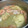 El cooksnap de Consol Burgos cuando hizo Merluza en salsa verde con almejas.