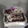Cooksnap dari Ekka untuk resep Blackforest Kukus 👌 kue ultah