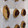El cooksnap de Sonia cuando hizo Galletas de jengibre con avena y miel.