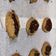 El cooksnap de Sonia cuando hizo Galletas de jengibre con avena y miel.