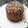 El cooksnap de Yaely cuando hizo Pan dulce con chispas de chocolate!! Y mucho chocolate.