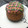 El cooksnap de Yaely cuando hizo Pan dulce con chispas de chocolate!! Y mucho chocolate.