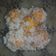 Cooksnap dari Elsa 무무 untuk resep Klepon Ubi Tepung Mocaf