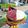 Cooksnap dari novie untuk resep Cheese cake yg simple banget