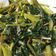 Lin Shu Jhen 的 蒜炒空心菜 cooksnap