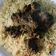 صورة من ام عبدالله، شاركها بعد تجربة وصفة طريقة تحضير طبق أرز بخاري 🍚👌🏼