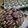Cooksnap dari Nurul Azizah untuk resep Chococrunch Cookies