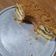 Cooksnap dari Chen Xiu Ping untuk resep Marmer Cake Lembut (Tehnik Pisah 6 Telur)