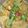 Sonali Banerjee's cooksnap of when they made দই কাতলা(doi kaatla recipe in Bengali).